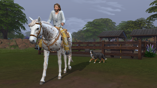 Ranch SIM Life Guide