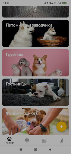 MyPets.kz Screen 2
