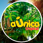 Cover Image of Unduh Radio La Unica  APK