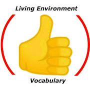 Living Environment Vocabulary