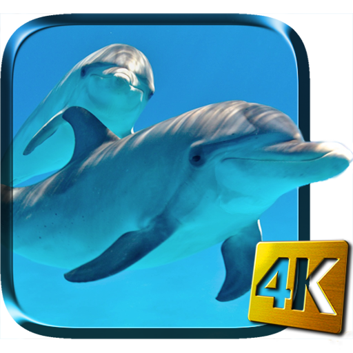 Dolphins Live Wallpaper  Icon