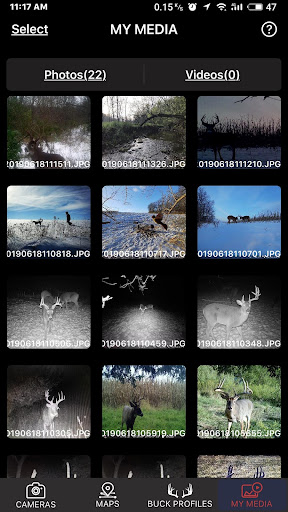 Lone Wolf Undercover Screen 2