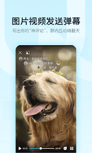 QQ MOD APK 5