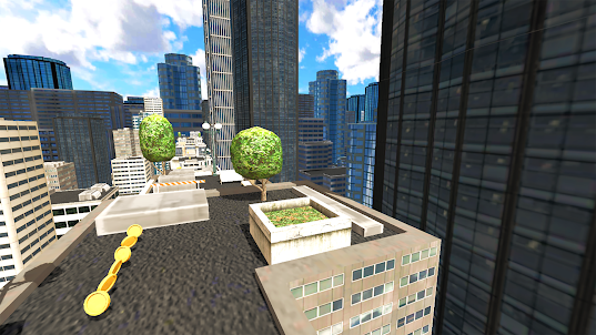 Horse Riding Rooftop