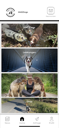 HMÜDogs Screen 2