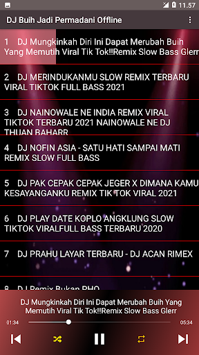 DJ Buih Jadi Permadani Screen 3
