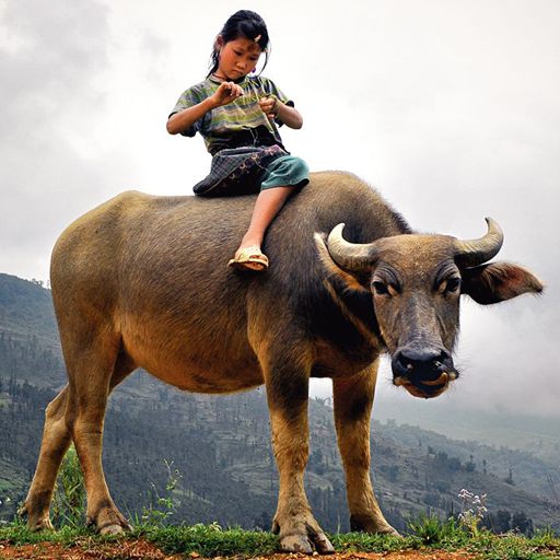 Slide Puzzle People of Culture