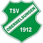 Cover Image of ダウンロード TSV Obermelsungen 4.5.1 APK