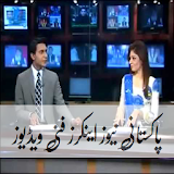 Pakistani Funny News Anchors icon