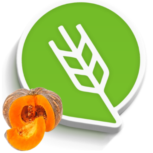तांबडा भोपळा लागवड #Agrownet™ logo