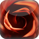 Sweet Rose Live Wallpaper icon