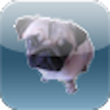 Dog whistle icon