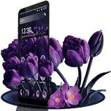 Purple Tulip Flower Theme icon