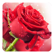 Red Rose Live Wallpaper 7.5 Icon