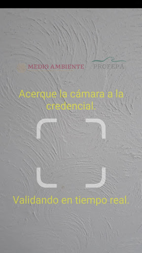 Mi PROFEPA Screen 3
