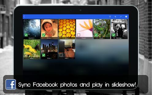 Social Frame PRO Screenshot