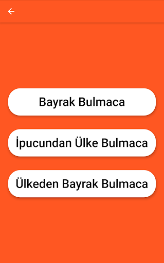 Bayrak Bulmaca Screen 2