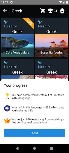 Greek Language Tests Screen 3