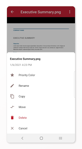 Android application Files.com screenshort