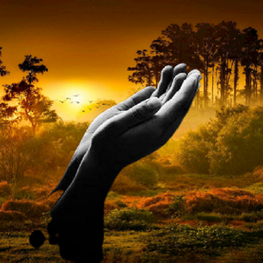 bestbeautifuldailyamol