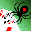 Spider Solitaire - Card Game icon