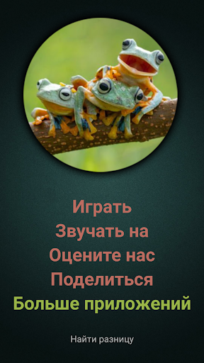 Предварительный просмотр приложения