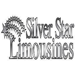 Gambar ikon Silver Star