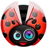 Ladybugs Photo Frames Jointer icon