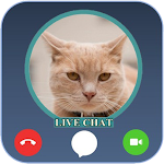 Cover Image of Unduh Funny Cat Angela's callprank - Fakechat 1.0 APK