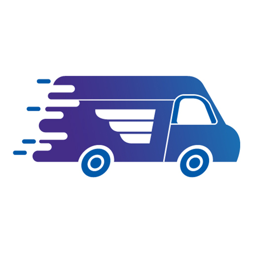 DDMS logo
