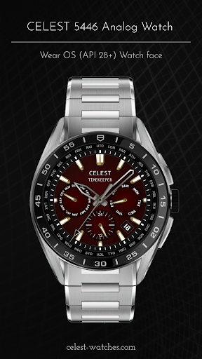 CELEST5446 Analog Watch Screen 3