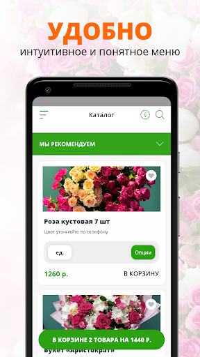 Оранжерея | Благовещенск Screen 2