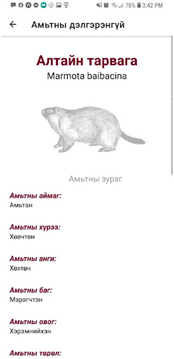 Амьтны улаан данс Screen 2