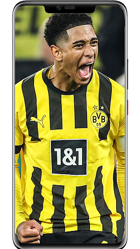 Android application Borussia Dortmund Wallpapers screenshort