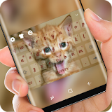 Little Cute Kitty Keyboard Kawaii Cat icon