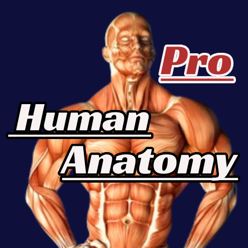 Learn Human Anatomy PRO Download on Windows