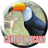 O Canto do Tucano icon