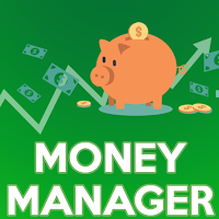 Money Manager - Income Expens