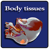 Body Tissues icon