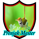 Master Kicau Prenjak Ngalas icon
