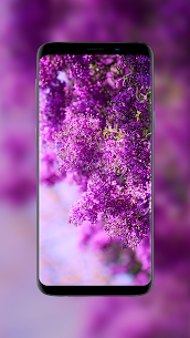 Girly Wallpapers for Girls (PREMIUM) 6.0.57 Apk 5