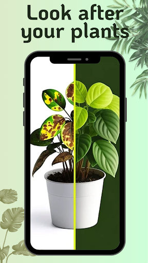 VerdiVista Plant Identifier Screen 3