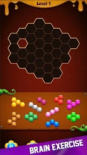 Hexa Puzzle - Blocks Game