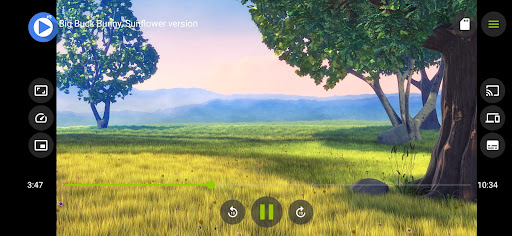 Screenshot of A+ Player: All Video Format