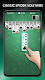 screenshot of Spider Solitaire - Card Games