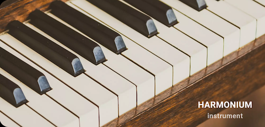 Virtual harmonium for sale pc
