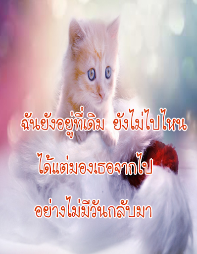 คำคมความรัก