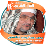 محمد عبد الوهاب الطنطاوى - القران الكريم icon