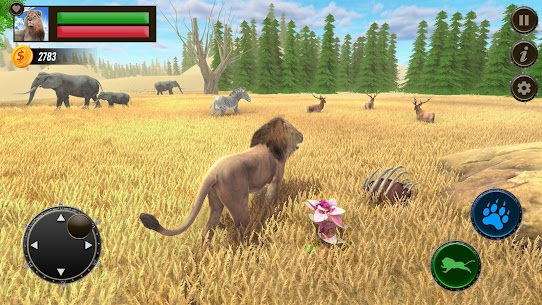 Jungle Kings Kingdom Lion 5