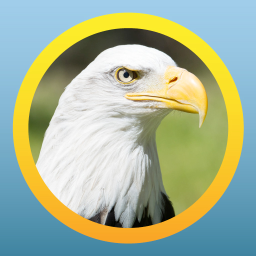 North American Bird ID Quiz Windows'ta İndir